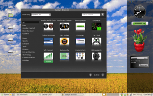 google-gadgets-for-linux