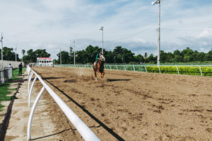horse race